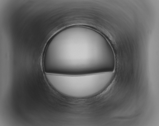 X0000102801513200808180922