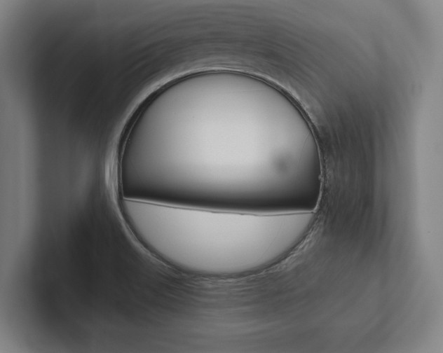 X0000102801515200808180922