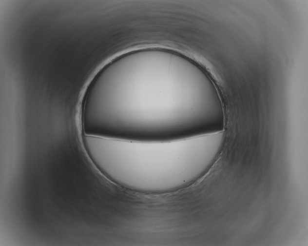 X0000102801516200808180922