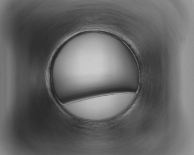 X0000102801517200808180922