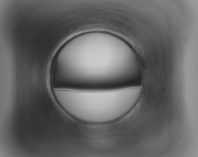 X0000102801518200808180922