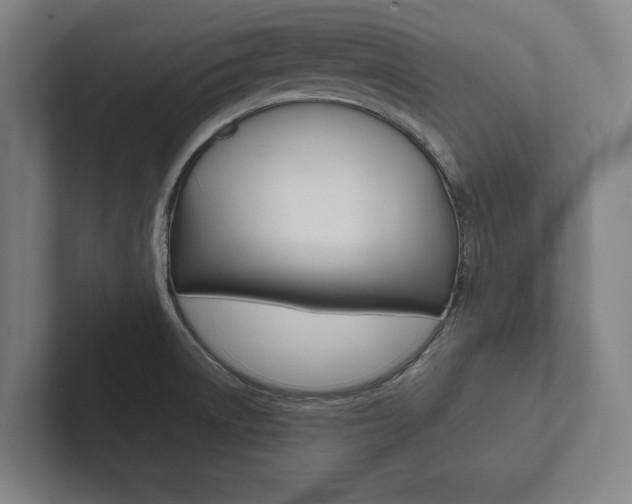 X0000102801522200808180922