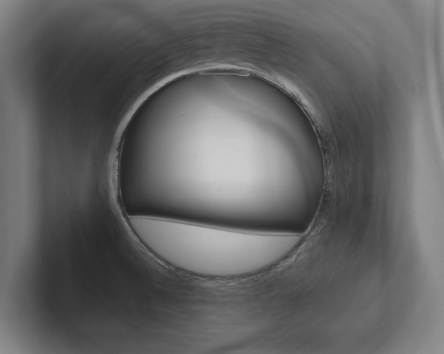 X0000102801524200808180922