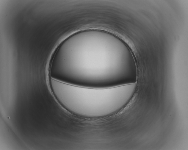 X0000102801525200808180922