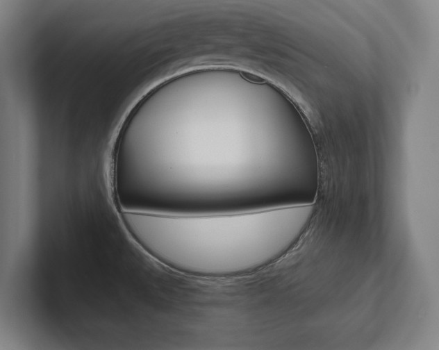 X0000102801527200808180922