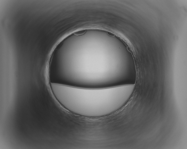 X0000102801528200808180922