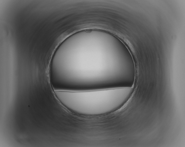 X0000102801529200808180922