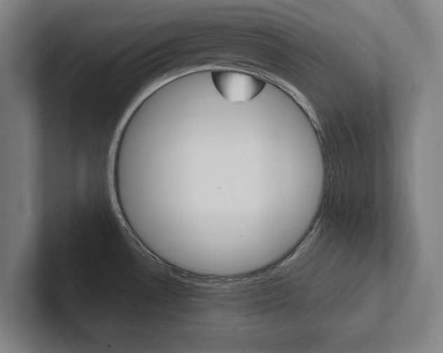 X0000102801530200808180922