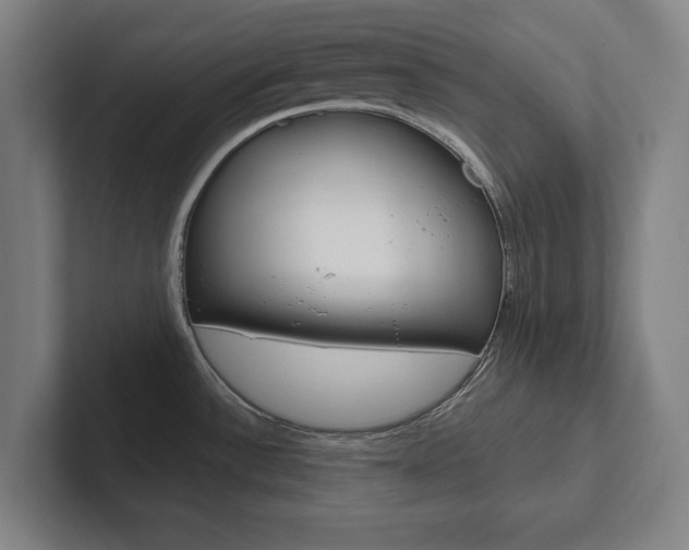 X0000102801532200808180922