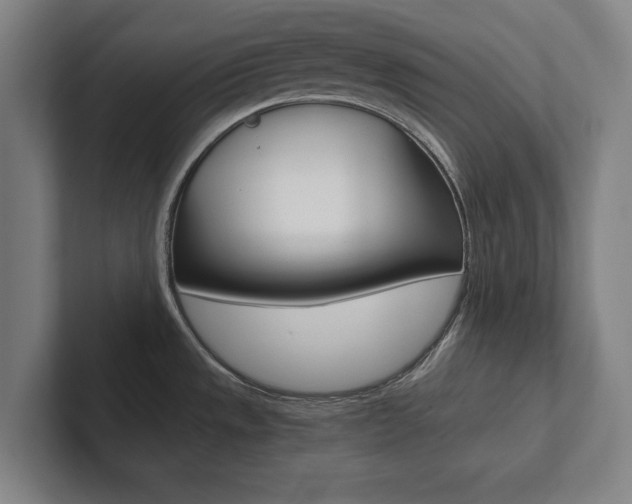 X0000102801533200808180922