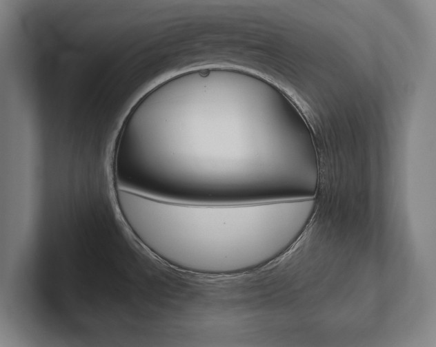 X0000102801534200808180922