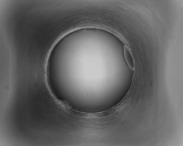 X0000102801536200808180922