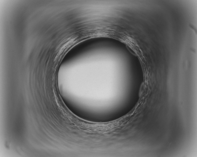 X0000102800001200808181211
