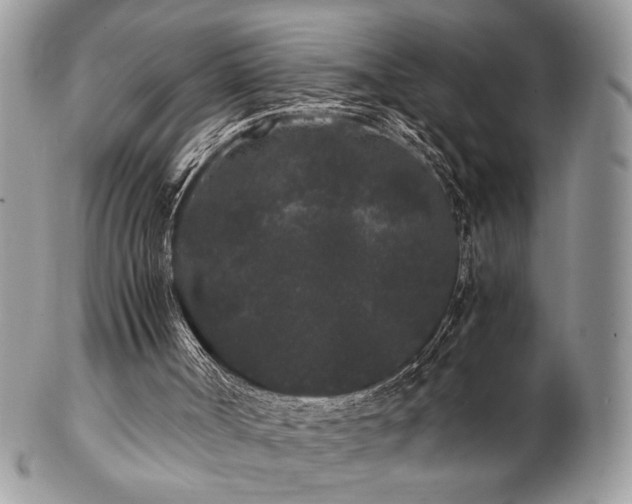 X0000102800002200808181211