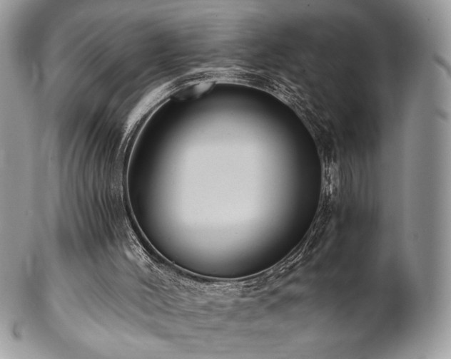 X0000102800004200808181211