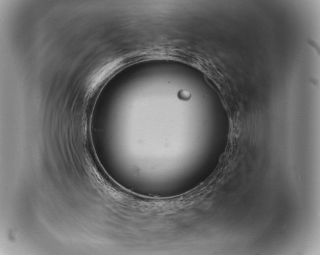 X0000102800005200808181211