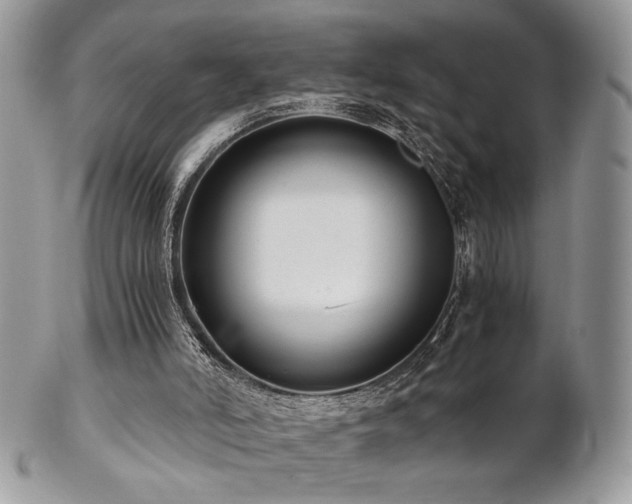 X0000102800006200808181211