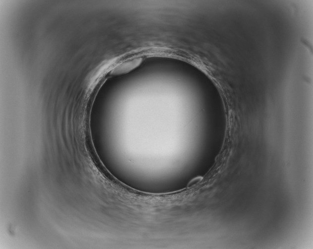 X0000102800007200808181211