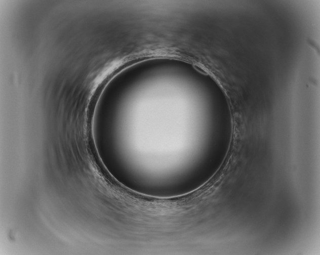 X0000102800008200808181211