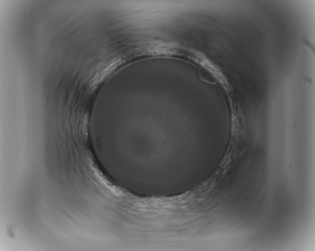 X0000102800009200808181211