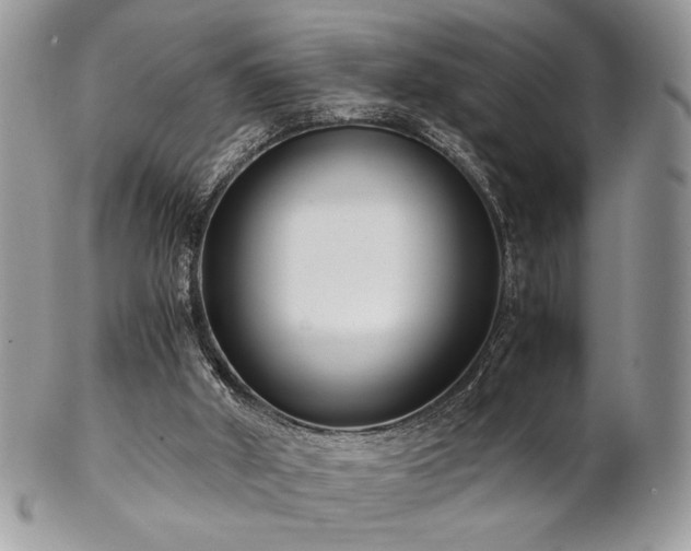 X0000102800010200808181211