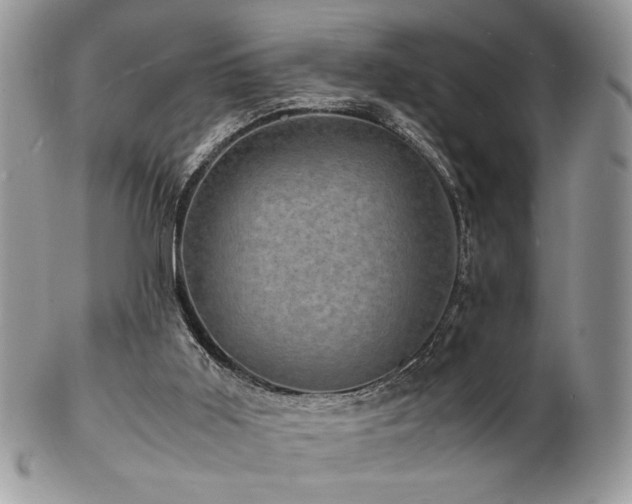 X0000102800011200808181211
