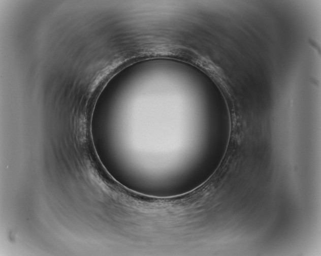 X0000102800012200808181211