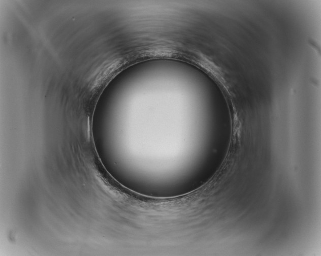 X0000102800013200808181211