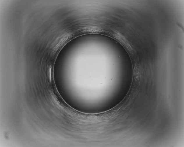 X0000102800014200808181211