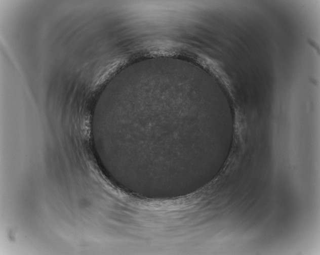 X0000102800017200808181211