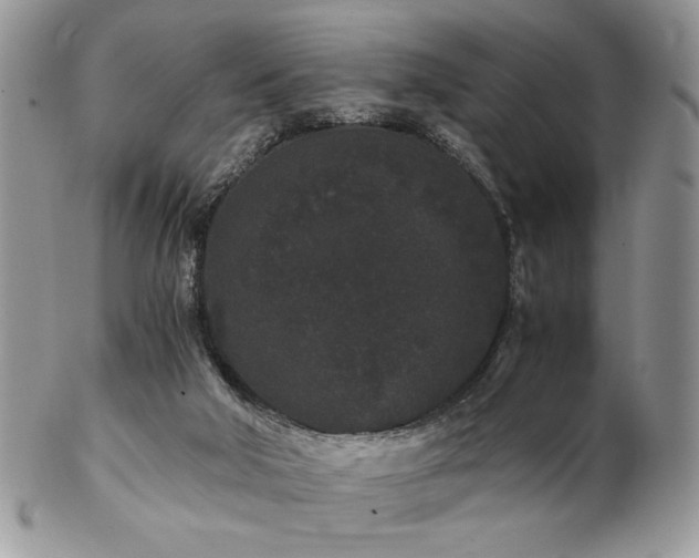 X0000102800018200808181211