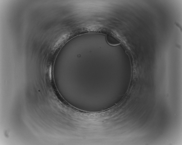 X0000102800019200808181211