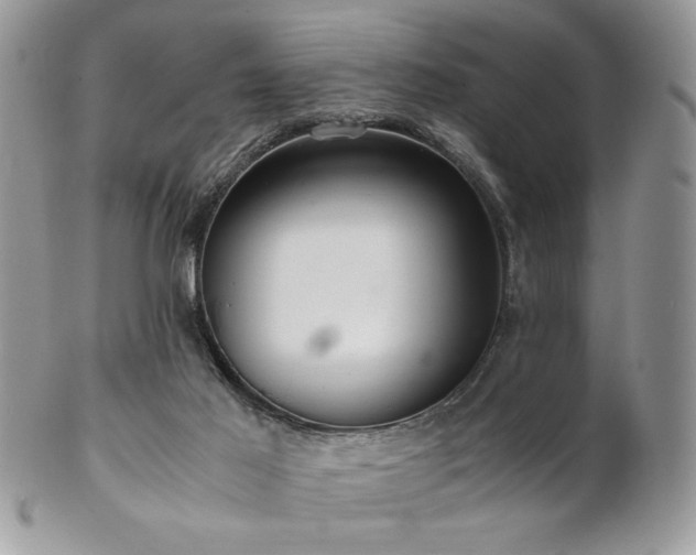 X0000102800021200808181211