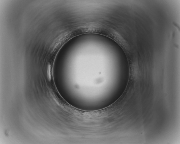 X0000102800022200808181211