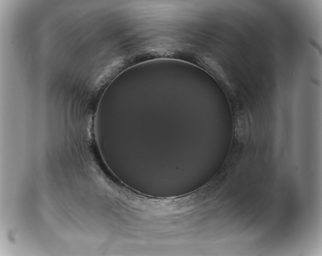 X0000102800023200808181211