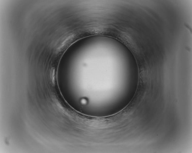X0000102800024200808181210