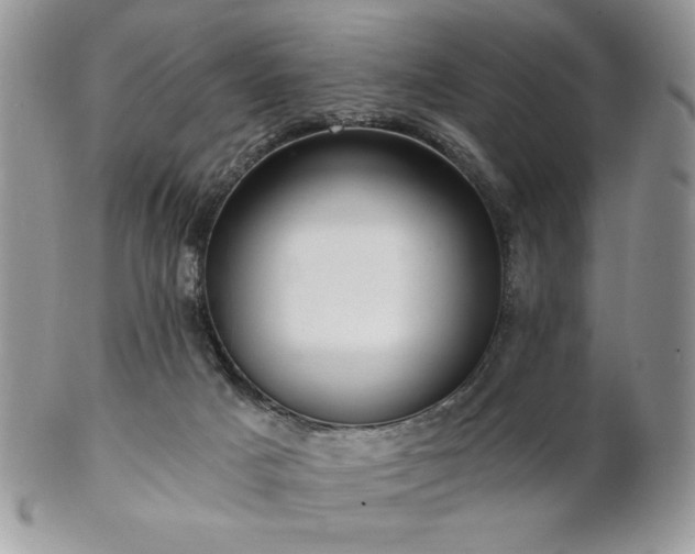 X0000102800025200808181210
