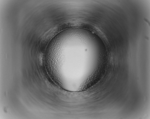 X0000102800026200808181210