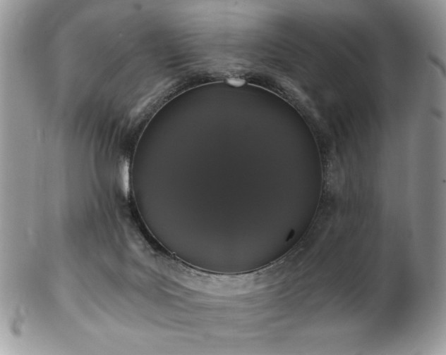 X0000102800027200808181210