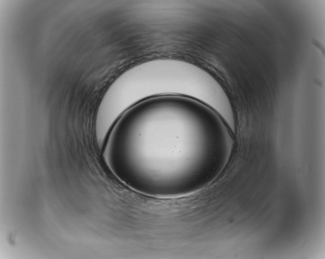 X0000102800029200808181210