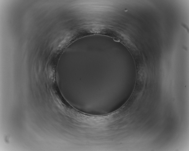 X0000102800031200808181210