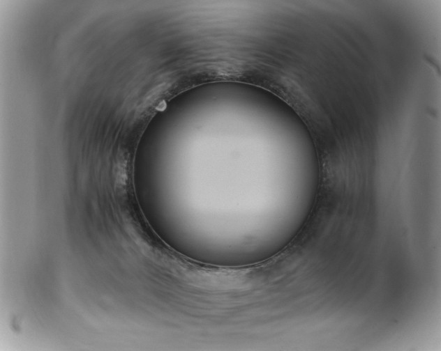 X0000102800032200808181210