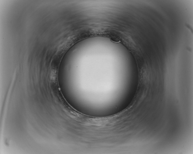 X0000102800033200808181210