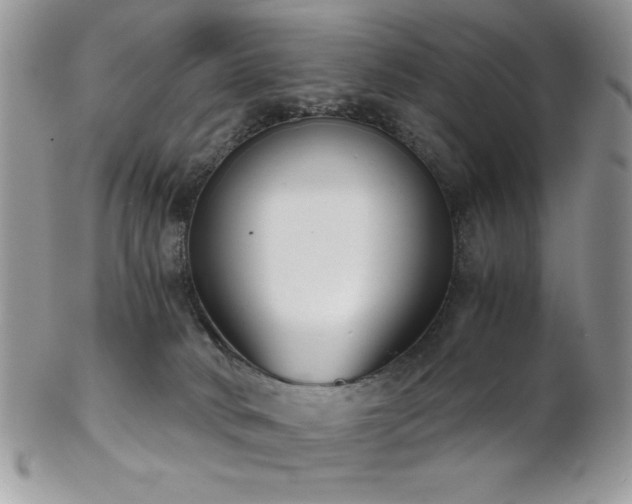 X0000102800034200808181210
