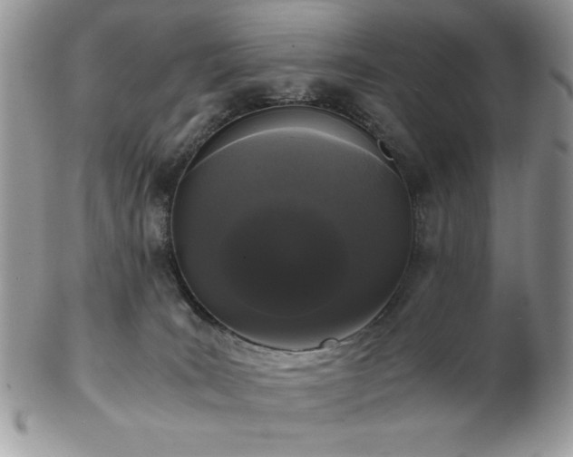 X0000102800035200808181210
