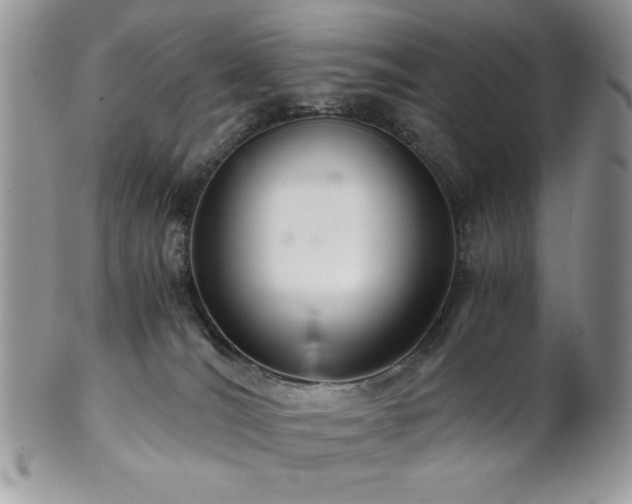 X0000102800036200808181210