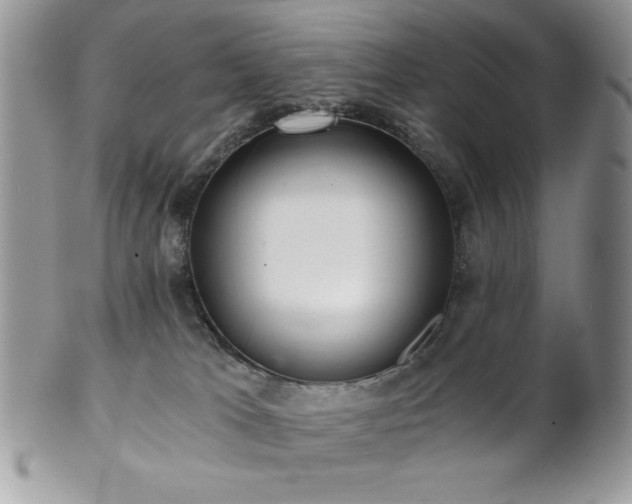 X0000102800037200808181210