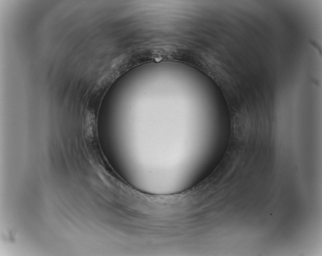 X0000102800038200808181210