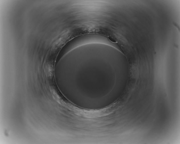X0000102800039200808181210