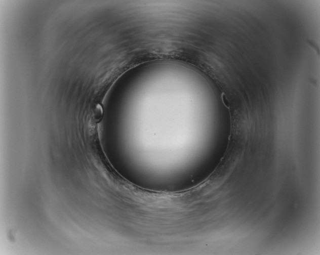 X0000102800040200808181210